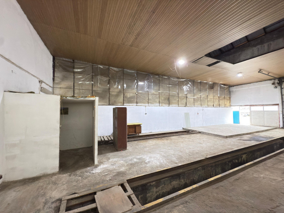 Hala 120 mp, inaltime 5m, parcare, Criseni