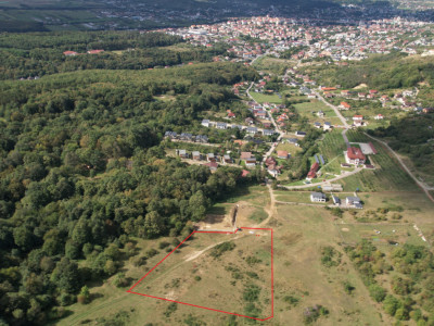 Teren intravilan constructii 1 ha, zona exclusivista, Meses/Bradet/Episcopie